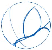 183x177 How To Draw Shadow The Hedgehog With Step