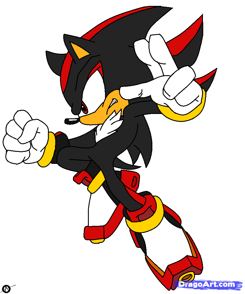 833x1001 Step How To Draw Shadow The Hedgehog