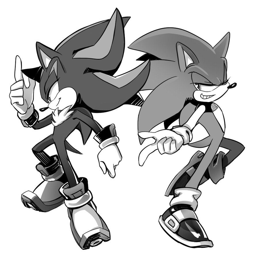 878x910 Sonic Shadow