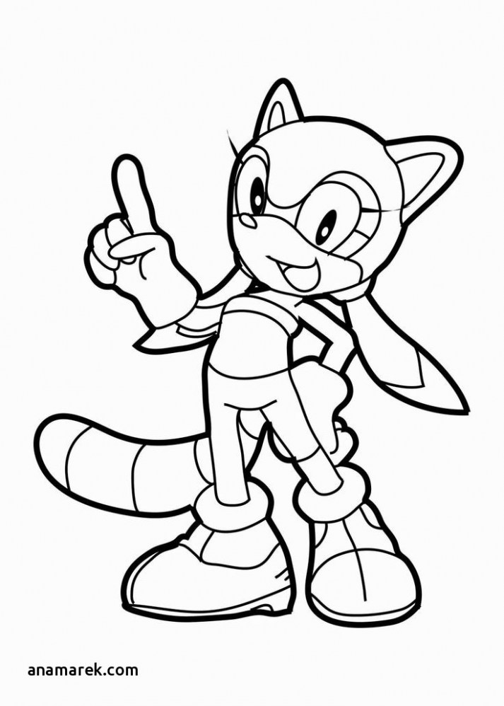 713x998 Printable Sonic Coloring Pages Awesome Sonic Coloring Book