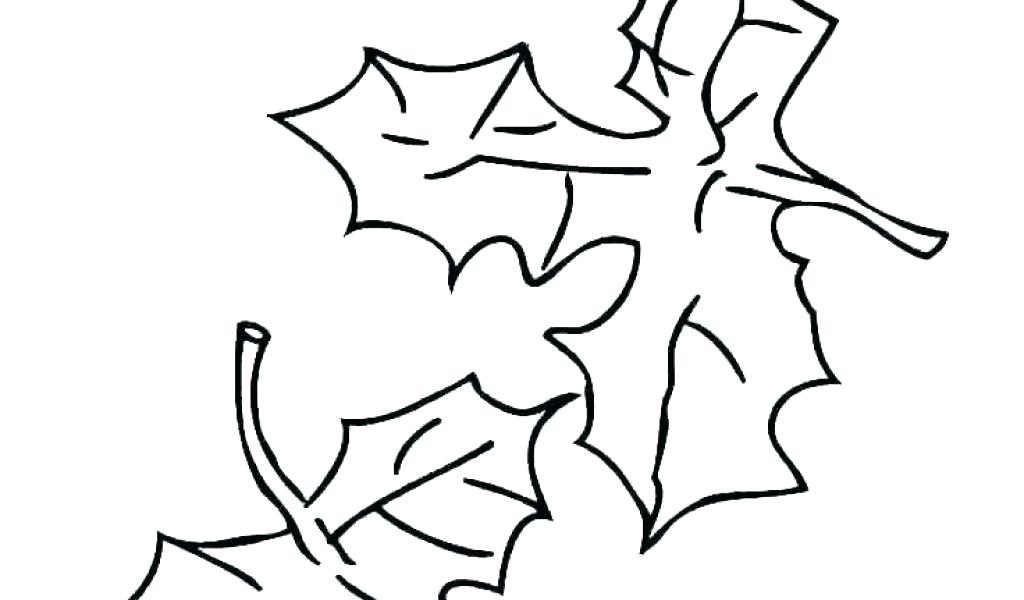 1024x600 Sophia Coloring