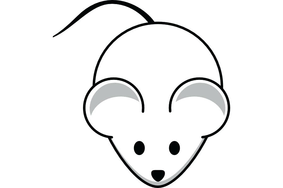 900x600 Drawing Of Mickey Drawing Mickey And Minnie Mouse