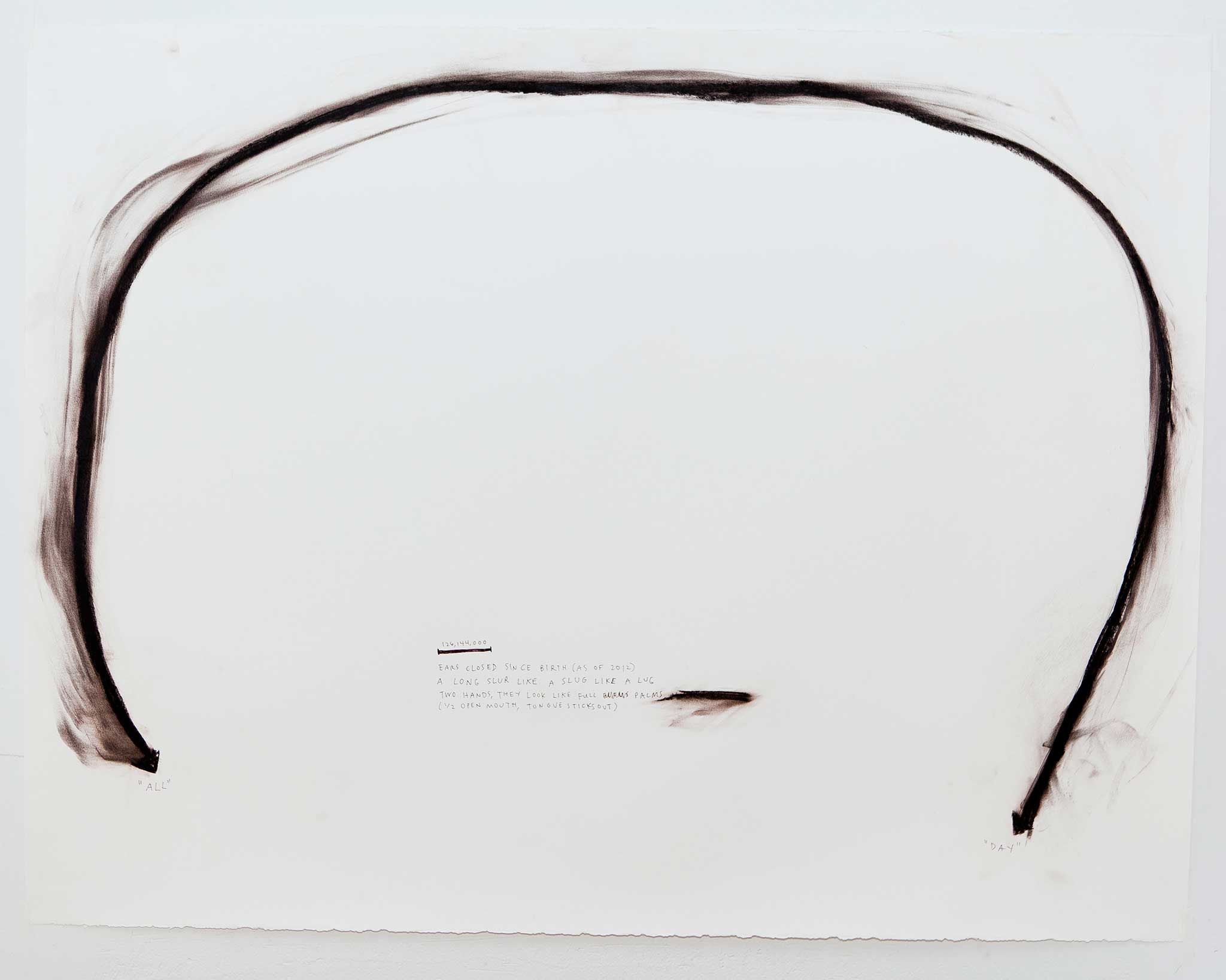 2048x1638 Christine Sun Kim Art, Sun, Sound Art