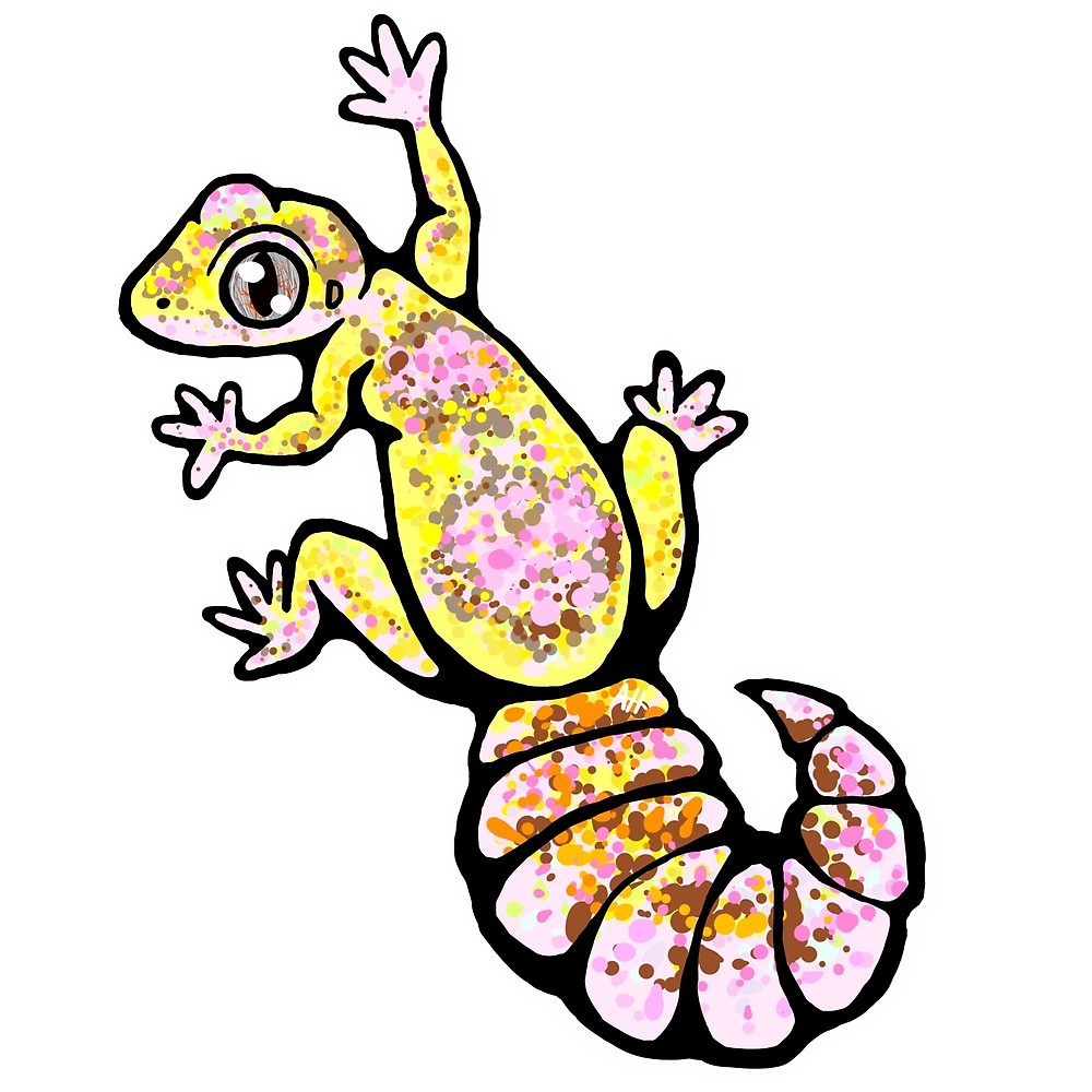 1000x1000 Chubby Gecko!