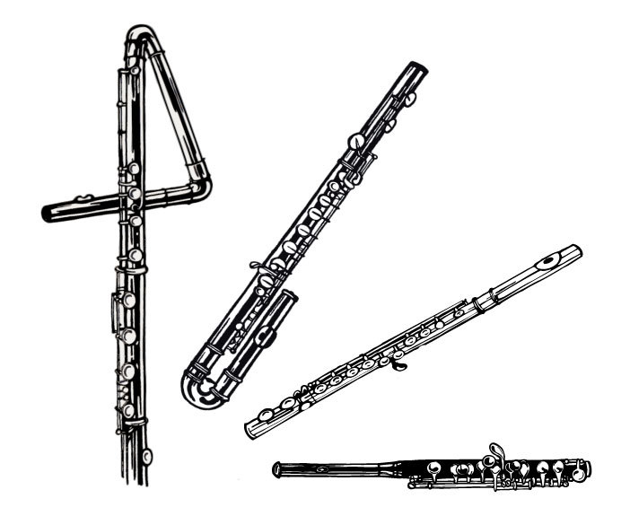 702x575 Sousaphone Drawing