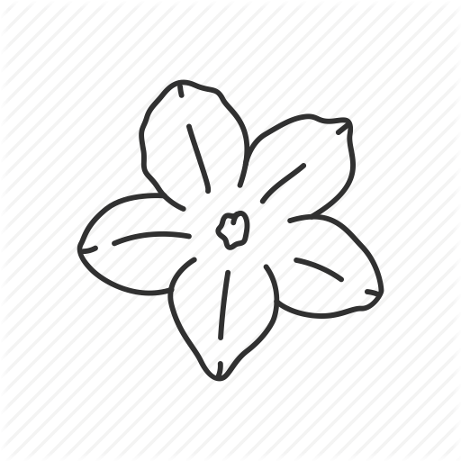 512x512 Download United States Of America Clipart South Carolina North