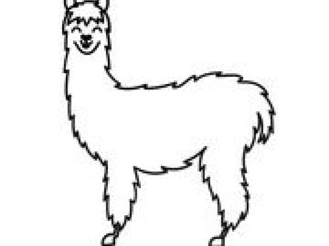 640x480 Lama Clipart South America