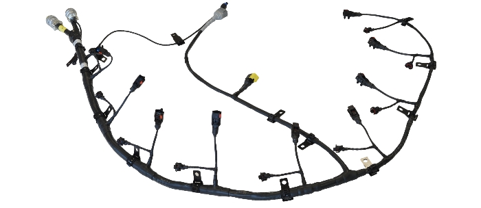 700x304 News In North South America