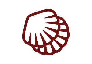 300x210 Outline Of Opportunities In South Korea