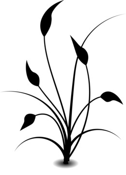 260x360 Illustration, Drawing, Yellow, Transparent Png Image Clipart