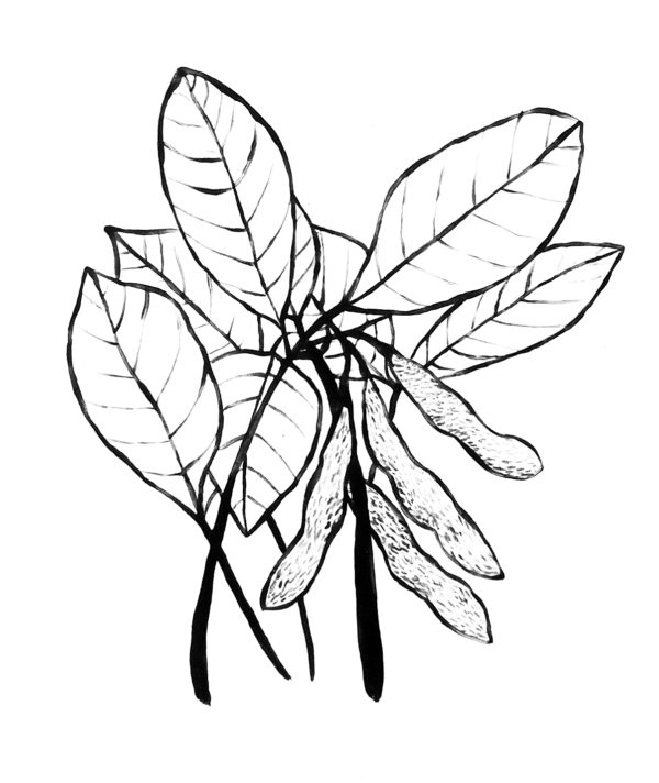 600x712 Print Editionen