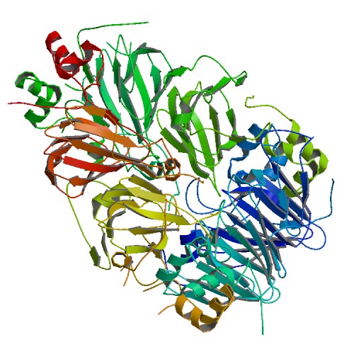 500x500 Rcsb Pdb