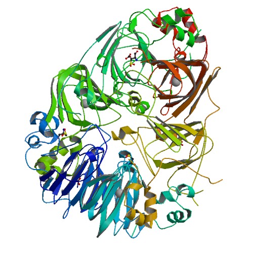 500x500 Rcsb Pdb