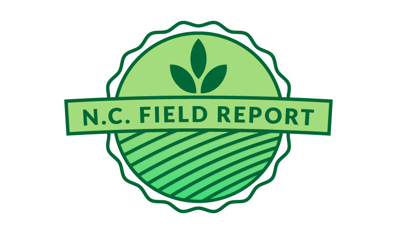 800x474 Reducing Harvest Loss In Soybeans