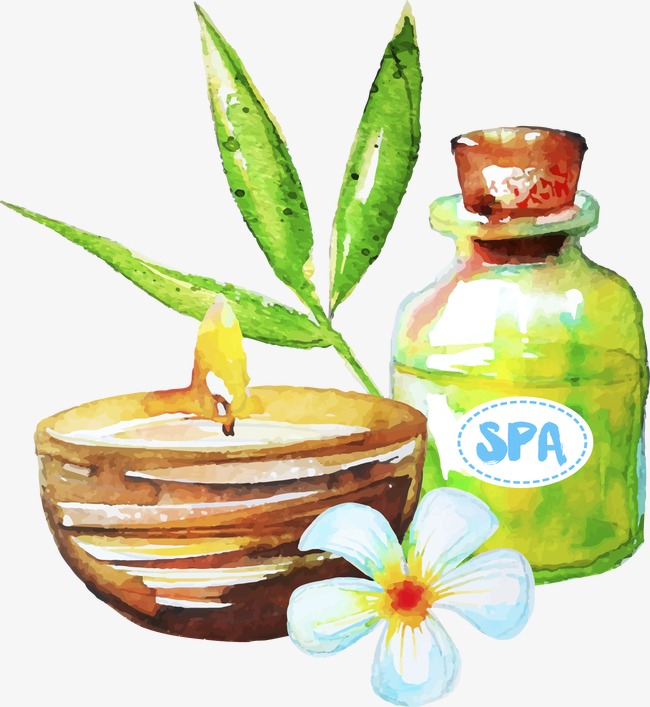 650x707 drawing spa essential oil, vector, spa products, leisure png