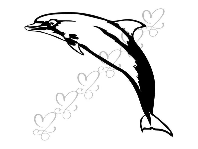 794x597 Dolphin Mammal Fish Happy Mascot Underwater Nature Ocean Etsy