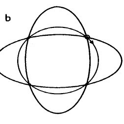 253x253 The Two Composite Modes Of Space Pencil Borne Dimension, Differing