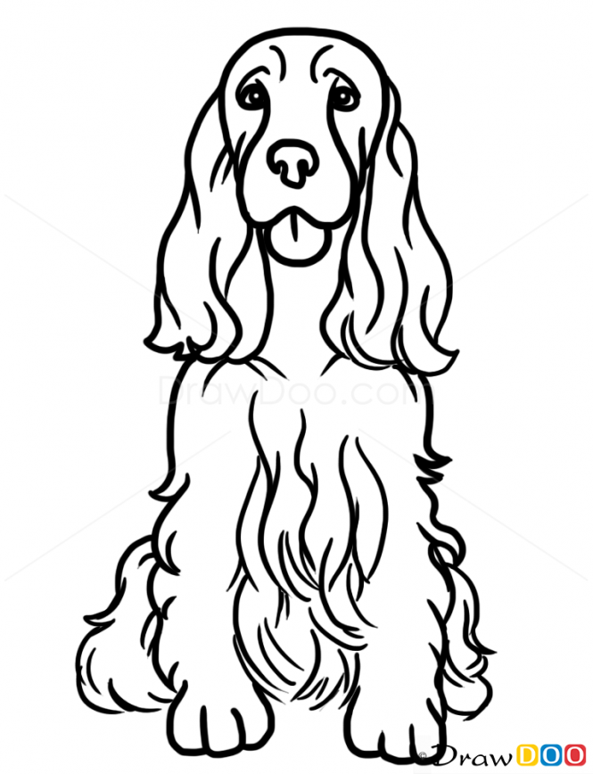 665x868 How To Draw Cocker Spaniel, Dogs And Puppies Art Techniques