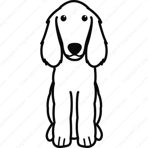 600x600 Boykin Spaniel Linear Edition Dog Breed Cartoon Download