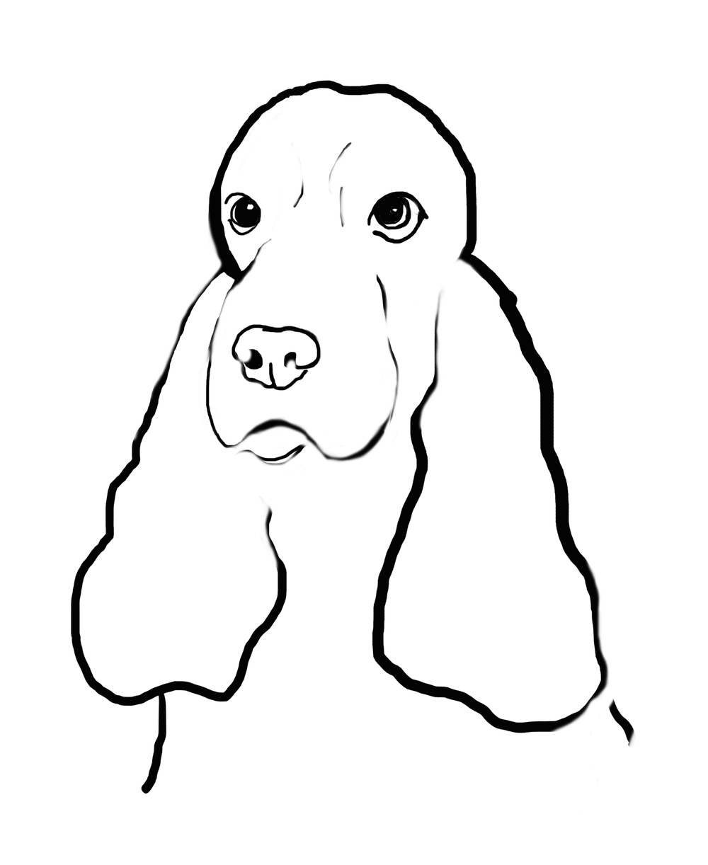 1000x1222 clavaire cocker spaniels