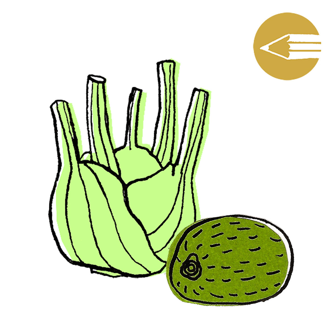 1181x1181 Mini Drawing Spark