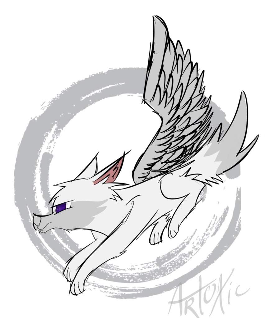 865x1024 Spark Aj Amino Amino