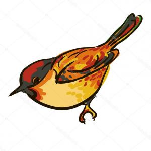 300x300 Engraving Drawing Of Sparrow Vector Catchsplace