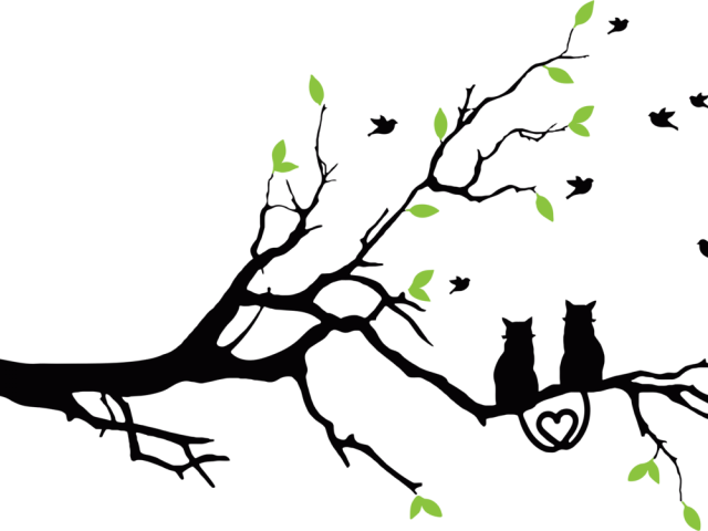 640x480 Hd Lovebird Clipart Sparrow