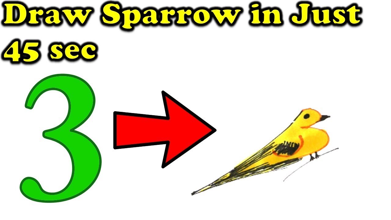 1280x720 How To Draw Bird Sparrow Easily Using Number Learn Drawing