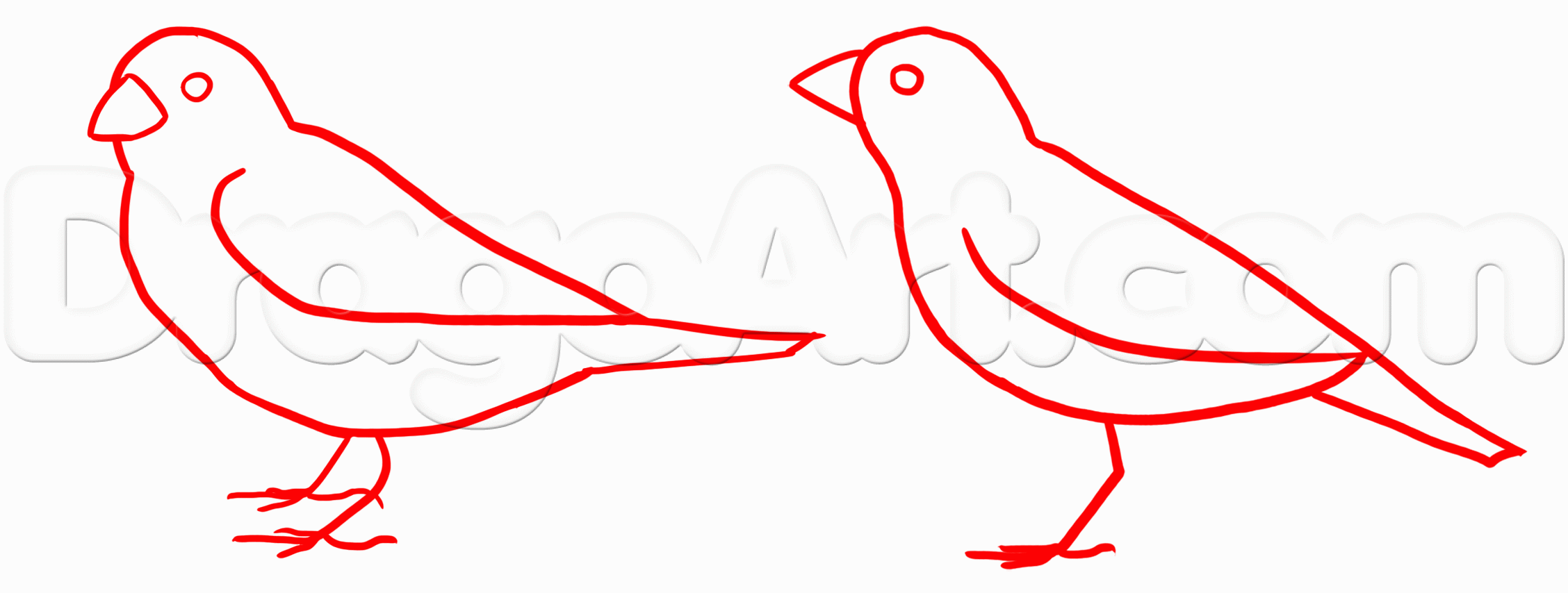 2256x854 How To Draw Sparrows, Step