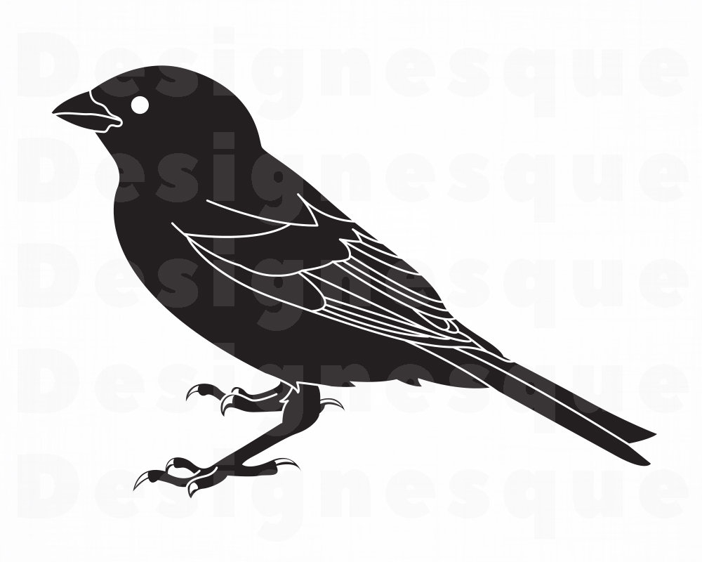 1000x800 sparrow bird sparrow clipart for cricut etsy