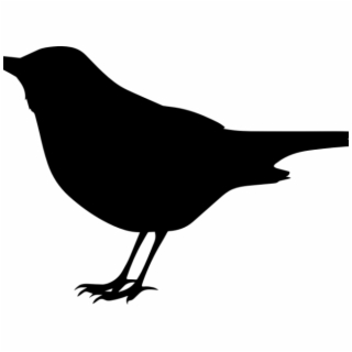 320x320 Sparrow Silhouette Png, Backgrounds And Vectors Free Download