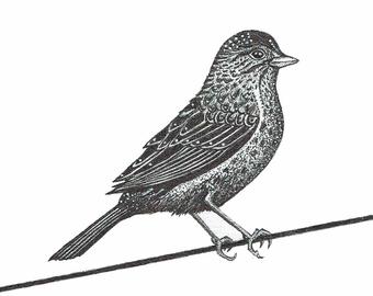 340x270 Sparrow Drawing Etsy