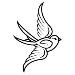 260x260 Sparrows Birds Online Shopping Sparrows Birds For Sale