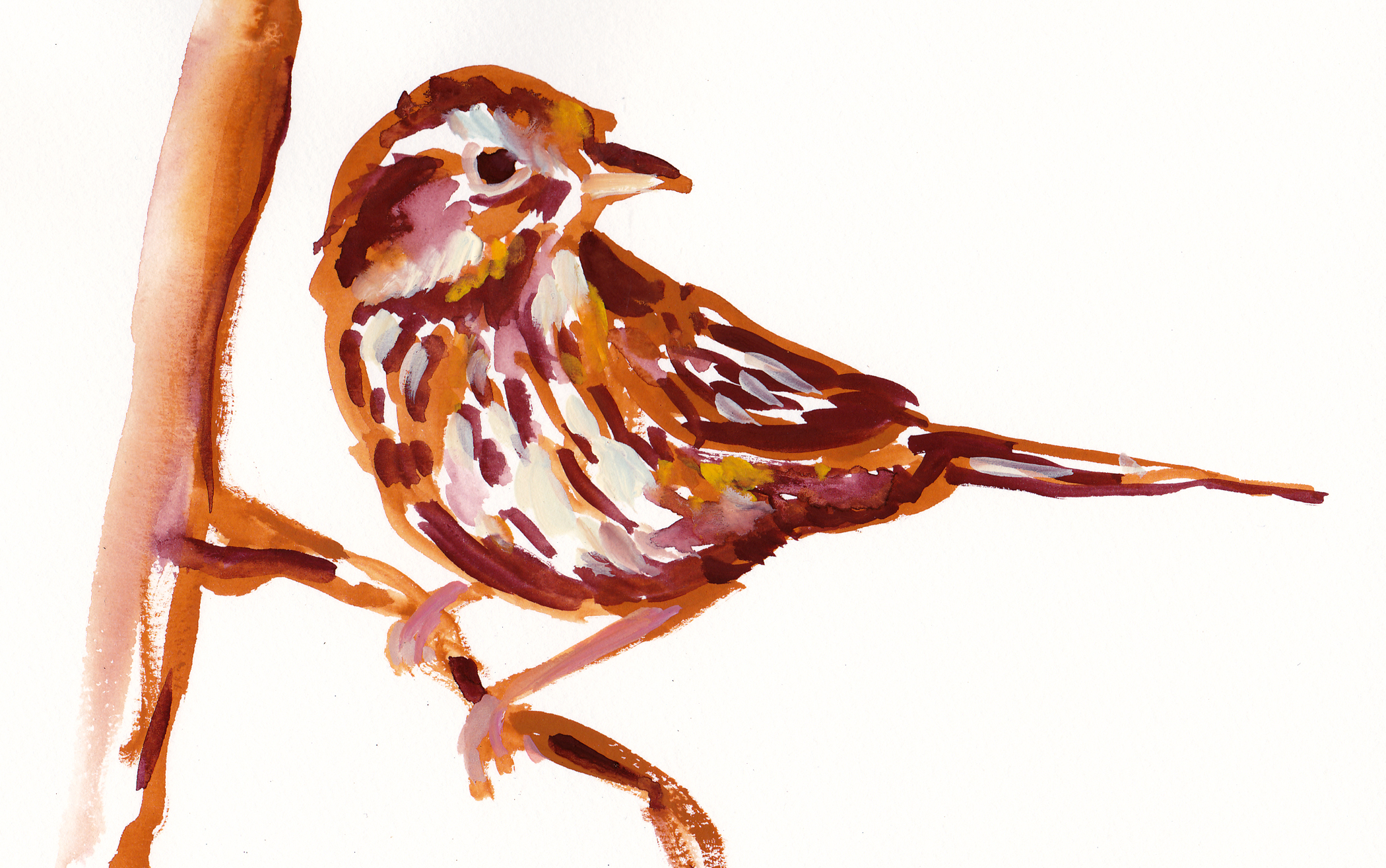 2100x1316 Sparrows Method Two Madness