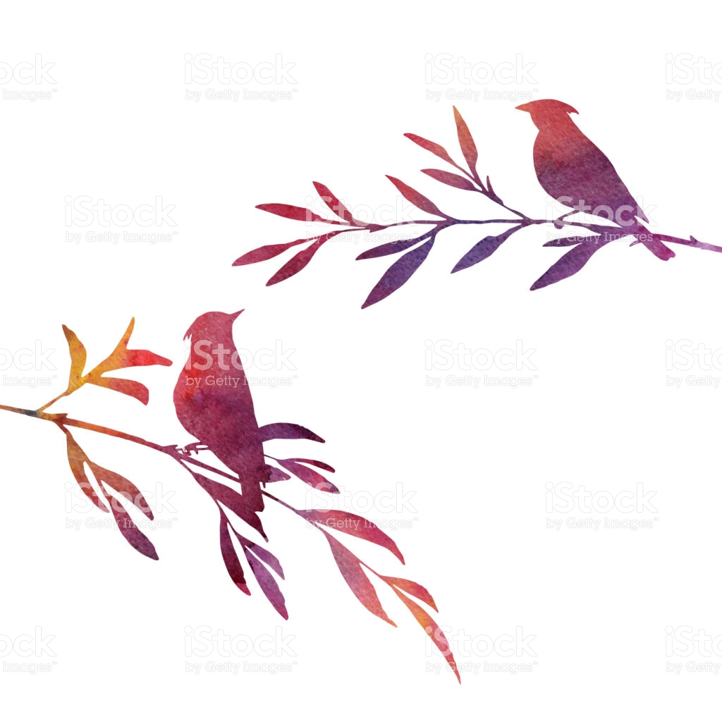 1024x1024 Song Sparrow Clipart Drawing
