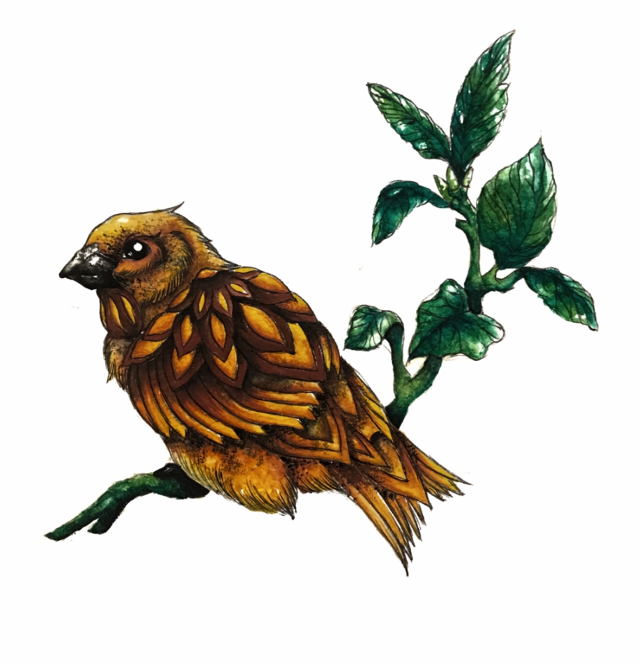 920x957 Sparrow Png Download