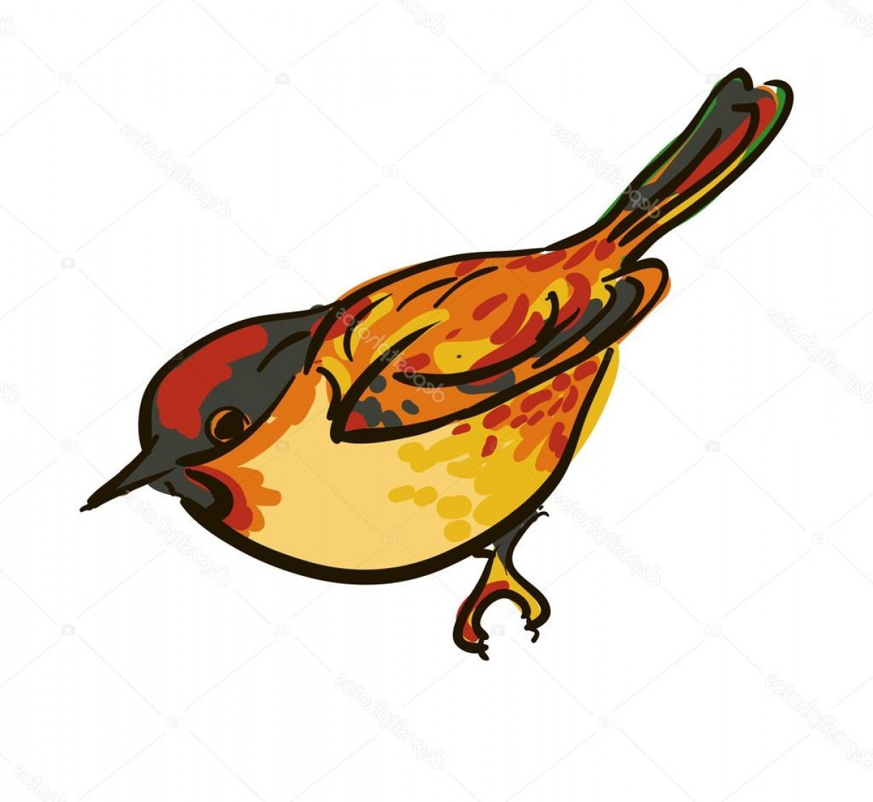 1228x1128 Sparrow Vector Graphics Catchsplace