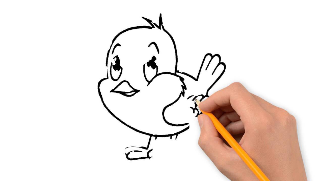 1280x720 Sparrow Animals Pencil To Draw Step