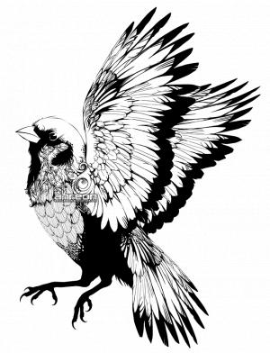 300x392 Sparrow Brown Bird Clipart