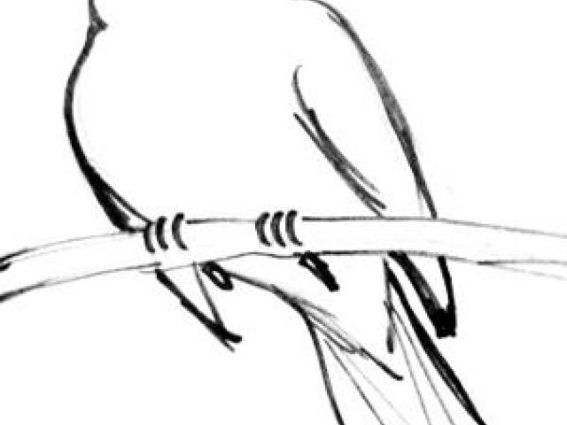 640x480 Clipart Wallpaper Blink