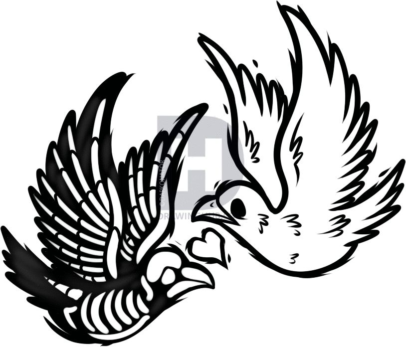 814x696 How To Draw A Sparrows Tattoo, Step