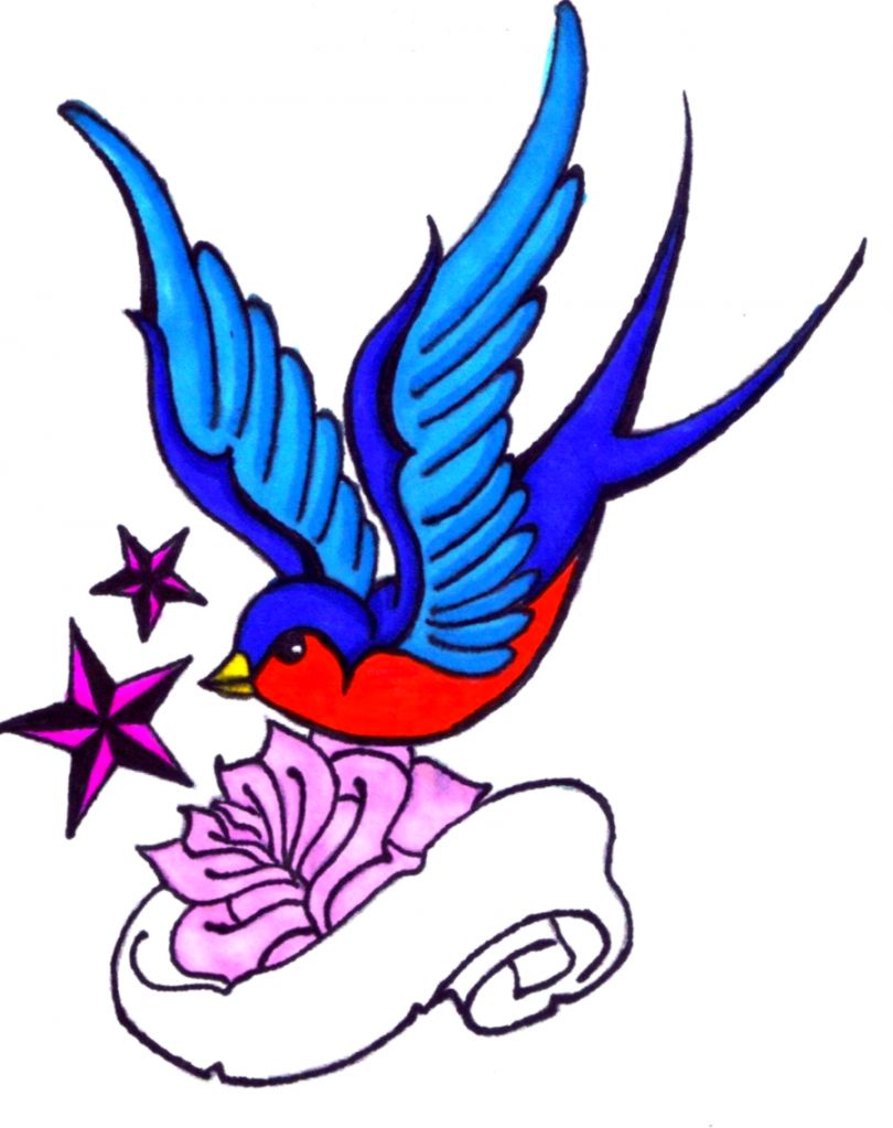 810x1023 Sparrow Drawing Tattoo Gandoss Wallpapers