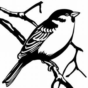 300x298 Sparrow Tattoos Lovetoknow