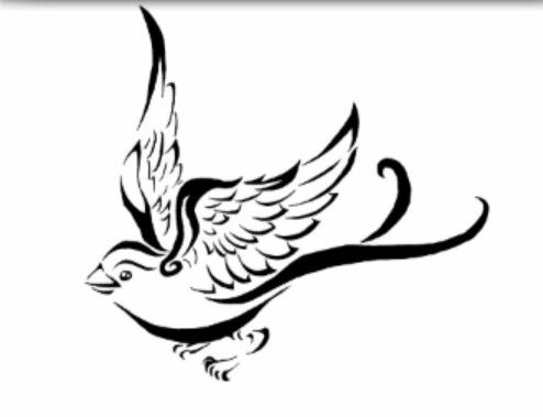 494x379 Thinking About The Ribcage Maybe Tattoo Ideas