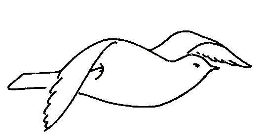 537x281 How To Draw Birds Flying Easy