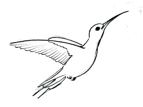 475x356 How To Draw A Hummingbird Step