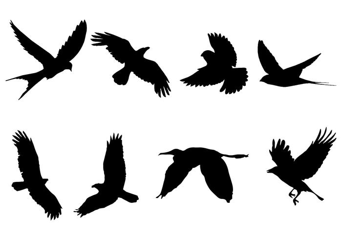 700x490 Bird Free Vector Art Free Downloadable