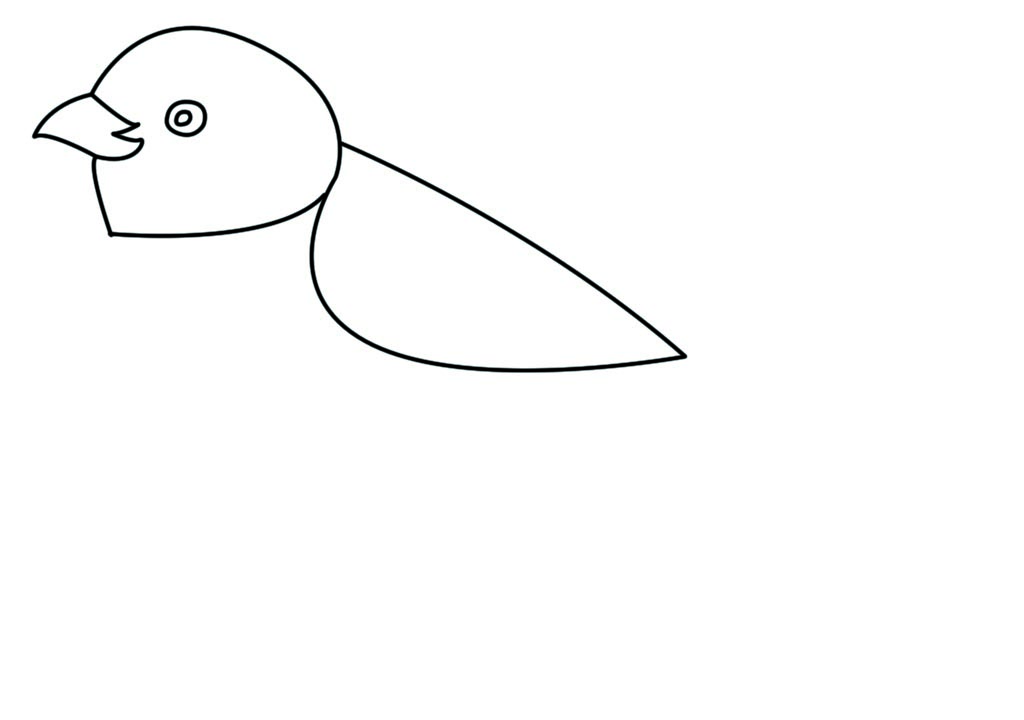 1024x720 How To Draw A Sparrow Drawing