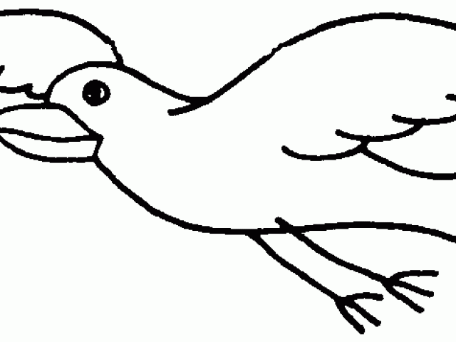 640x480 Sparrow Clipart Line Drawing